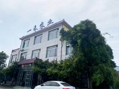Chine Shandong Yihe Agricultural Technology Co., Ltd. Profil de la société