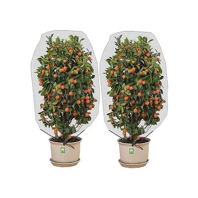 Agriculture HDPE Plastic anti-insecte Maillage à l'épreuve des insectes Réseau de protection des arbres fruitiers