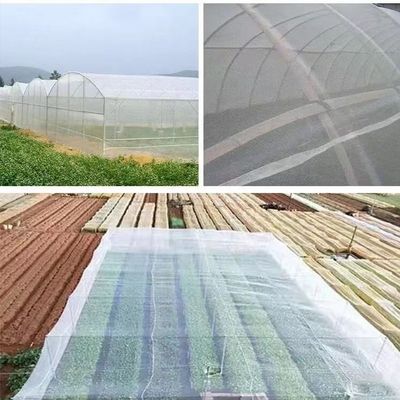 Réseau d'insectes de serre transparent en PEHD UV Réseaux d'enclos de voiliers Réseaux efficaces de lutte contre les parasites