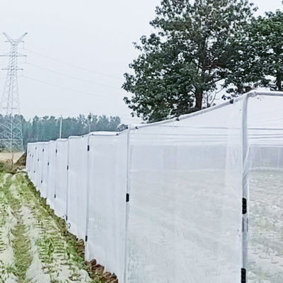 Écrans anti-insectes HDPE Serre Agricoles Protéger les insectes Maillage à l'épreuve des insectes Maillage fin Net de plastique durable type HDPE