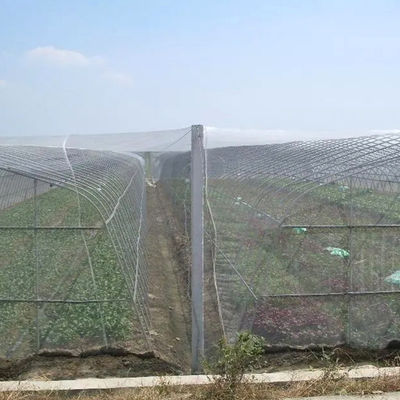 Écrans anti-insectes HDPE Serre Agricoles Protéger les insectes Maillage à l'épreuve des insectes Maillage fin Net de plastique durable type HDPE