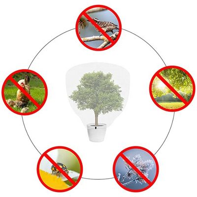 Tissu de protection contre les insectes et les insectes de type plastique HDPE avec corde à tirer pour la culture des arbres fruitiers