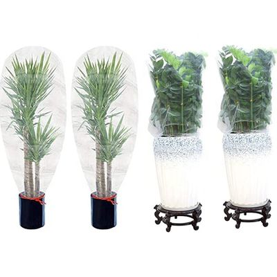 Tissu de protection contre les insectes et les insectes de type plastique HDPE avec corde à tirer pour la culture des arbres fruitiers