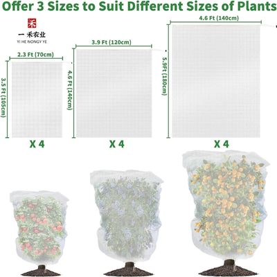 Couvertures d'arbres fruitiers en plastique HDPE à base de filets anti-insectes