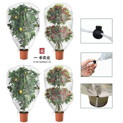 Couvertures d'arbres fruitiers en plastique HDPE à base de filets anti-insectes