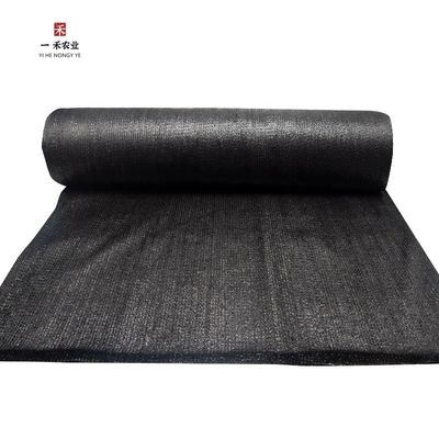 Ne pas recouvert d'un revêtement de protection contre les rayons UV HDPE Plant Nursery Shade Net Shade Net Net pour les plantes Mesh Shade Net pour les voiles d'ombre