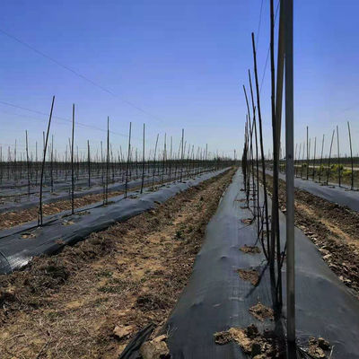 Mat contre les mauvaises herbes agricoles en plastique PP résistant aux UV