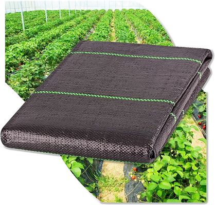 Couverture de sol en plastique Mat de tissu de lutte contre les mauvaises herbes agricole avec filet non tissé en PP