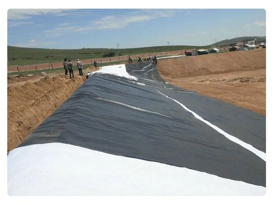 Géomembrane HDPE à surface lisse pour la construction de lacs et tunnels de décharges 50m-200m Résistant aux produits chimiques