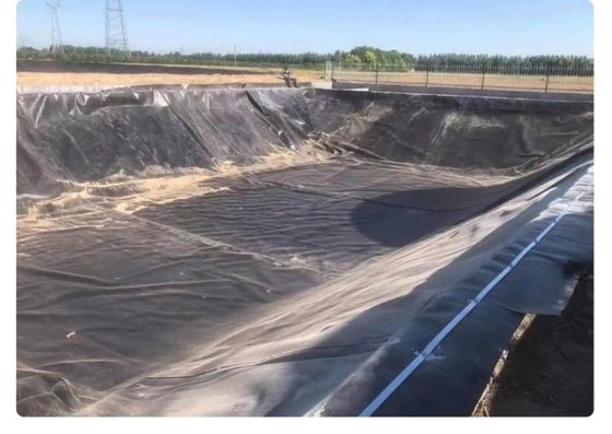 Liner de géomembranes en PEHD pour l'exploitation minière réservoir barrage étang de poissons crevettes ferme