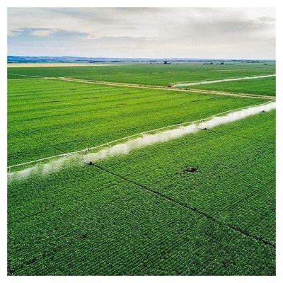 Système d'irrigation pivot de 168 cm de diamètre pour une distribution optimale de l'eau dans les fermes