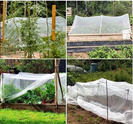 Réseau de jardinage pliable en plastique HDPE Réseau d'insectes vierge 20/30/40/50