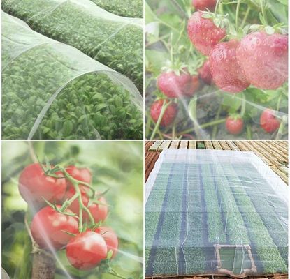Réseau de jardinage pliable en plastique HDPE Réseau d'insectes vierge 20/30/40/50