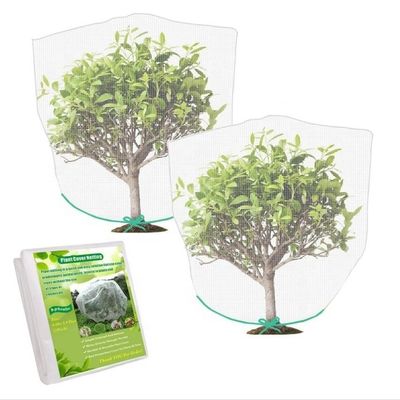 Réseau d'insectes anti-UV en HDPE Solution idéale pour la protection des arbres fruitiers