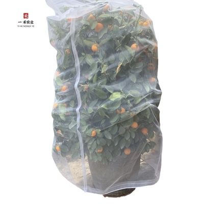 Réseau d'écran anti-insectes durable 40 60 80 Réseau d'écran anti-insectes à l'épreuve des insectes