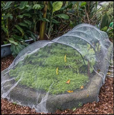 TRAPS Réseau anti-insectes agricole pour serre longue durée de vie