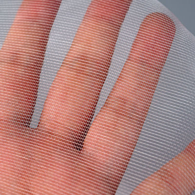 Réseau de protection contre les insectes Serre Agri tomate Protéger les insectes Réseau transparent contre les pucerons TRAPS