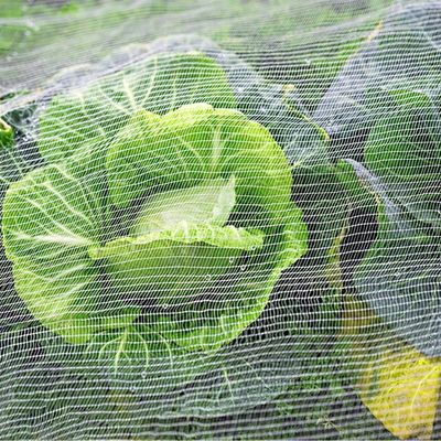 TRAPS Réseau de jardinage en plastique pour les plantes Barrière antiparasitaire Mouche insecte insecte Oiseau Écrans anti-insectes Protéger les fruits Fleurs légumes