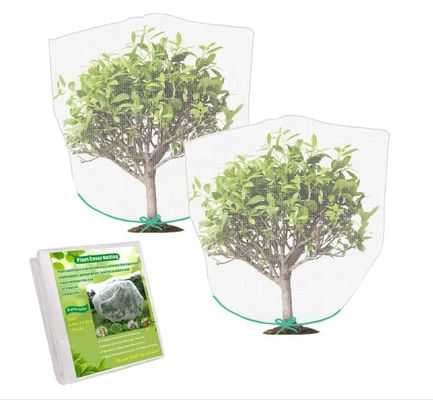 Réseau de jardin en nylon et HDPE pour protéger les fruits, les fleurs et les légumes contre les moustiques et les mouches