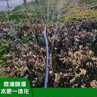 20mm-75mm tuyau de pluie de jardin Ferme d'arrosage Ruban pluie Micro Spray tuyau Matériau en plastique durable pour l'arrosage du jardin