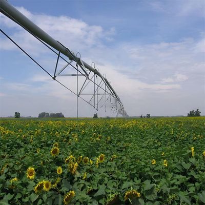 Produits de maïs fournis directement au centre agricole à grande échelle Systèmes de machines d'irrigation pivotant de 168 cm de diamètre et Ha au restaurant