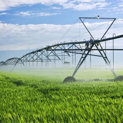 Circuit d'irrigation à pivot central/système d'irrigation à pivot 650 kg pneu d'irrigation de 90 pouces de diamètre en 2024
