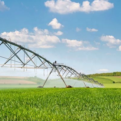 168 cm de diamètre DYP Équipement de machines agricoles Grand canon centre système d'irrigation par pulvérisation pivot pour l'irrigation des fermes