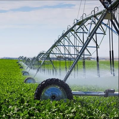 3650 KG Système d'irrigation pivot du centre numérique pour augmenter la rentabilité agricole