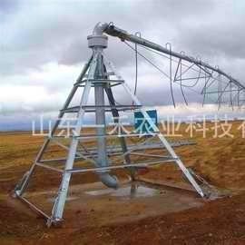 Centre de pivotation de maison conçu avec précision 230 kg Capacité conçue pour la durabilité et l'adaptabilité