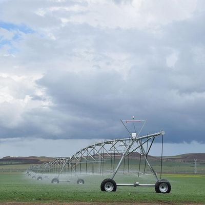 Succès à long terme dans l'agriculture avec notre système pivotant de 30 pouces de diamètre, distribution d'eau précise et construction robuste