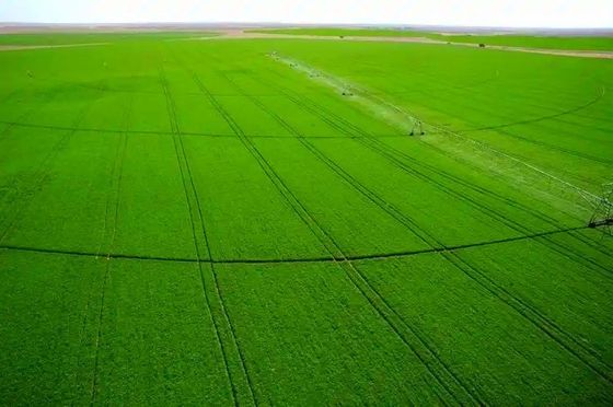 Succès à long terme dans l'agriculture avec notre système pivotant de 30 pouces de diamètre, distribution d'eau précise et construction robuste