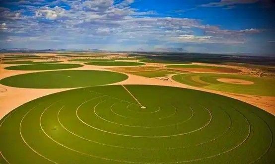 Optimisation de la croissance des cultures grâce à une solution centralisée, une structure solide et une surveillance à distance