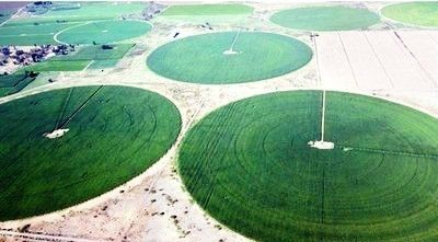 Sprays pour les entreprises agricoles prospères Centre à l'épreuve de la saison Pivot offrant des performances constantes