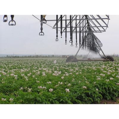 Système d'irrigation automatique à pivots centraux pour les exploitations agricoles