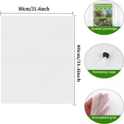 6*9 pouces sac de filet en nylon pour la protection des plantes et des fruits de jardin dire au revoir aux pesticides nocifs