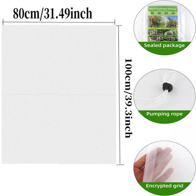 6*9 pouces sac de filet en nylon pour la protection des plantes et des fruits de jardin dire au revoir aux pesticides nocifs
