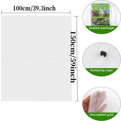 6*9 pouces sac de filet en nylon pour la protection des plantes et des fruits de jardin dire au revoir aux pesticides nocifs