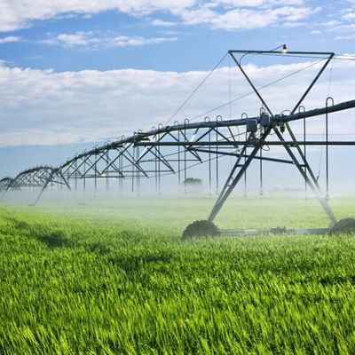 Augmentez la productivité de votre ferme avec un système d'irrigation agricole à pivotement métallique, à pivotement latéral, à pivotement linéaire, à pivotement latéral