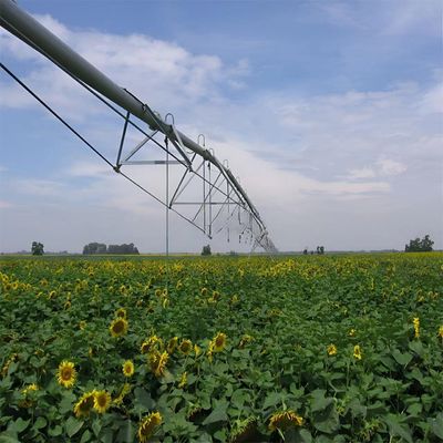 Augmentez la productivité de votre ferme avec un système d'irrigation agricole à pivotement métallique, à pivotement latéral, à pivotement linéaire, à pivotement latéral