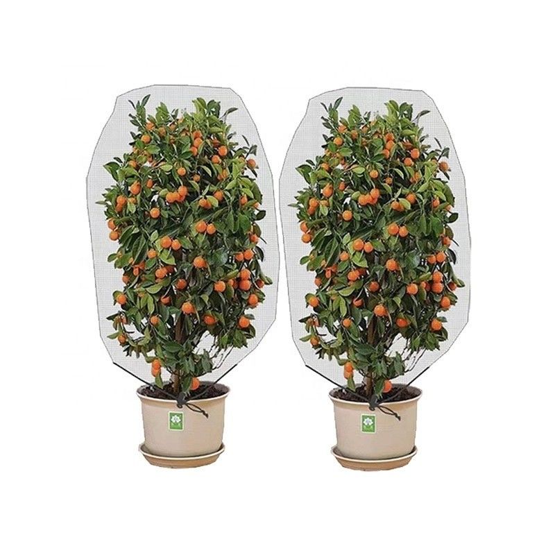 Agriculture HDPE Plastic anti-insecte Maillage à l'épreuve des insectes Réseau de protection des arbres fruitiers