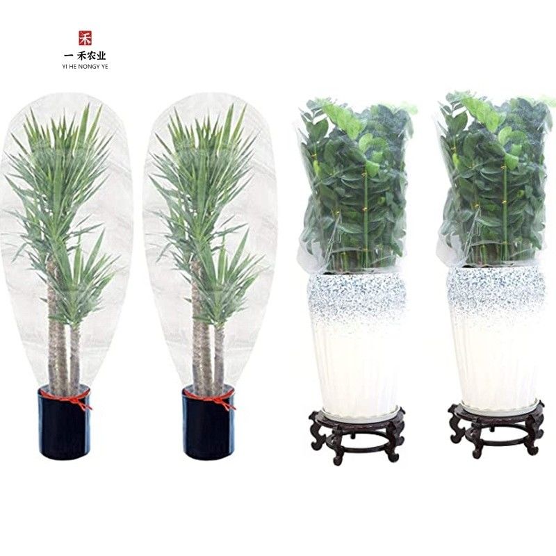 2.5M*10M Réseau d'insectes de serre Barrière d'oiseaux Réseau solide Jardins végétaux Réseau d'insectes pour la protection des fermes