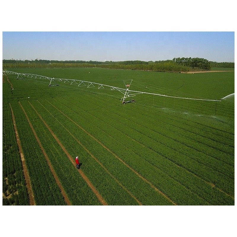 2023 Machine d'arrosage mobile métallique pour rouleau de tuyau d'irrigation à pivotement central et faible entretien