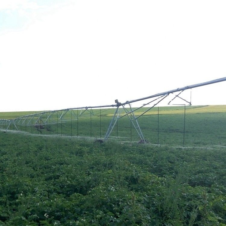 Système d'irrigation mobile pivoté pour augmenter la rentabilité agricole
