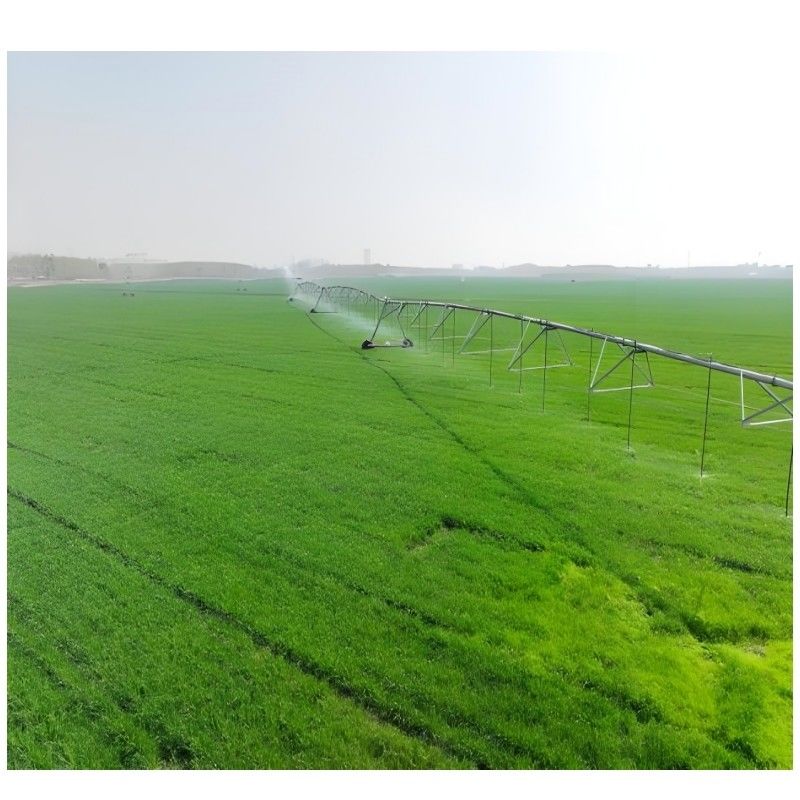 Système d'irrigation agricole ronde à économie d'énergie pour le blé, le soja, le maïs et les pâturages
