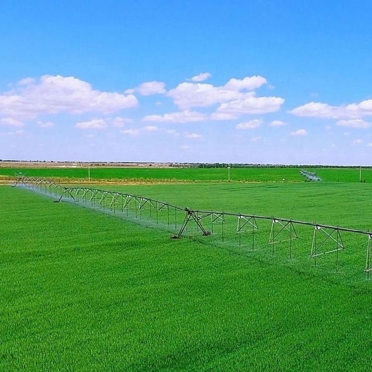 168 cm de diamètre Système d'irrigation de machines agricoles Centre Sprinkler pivot pour les fermes Application